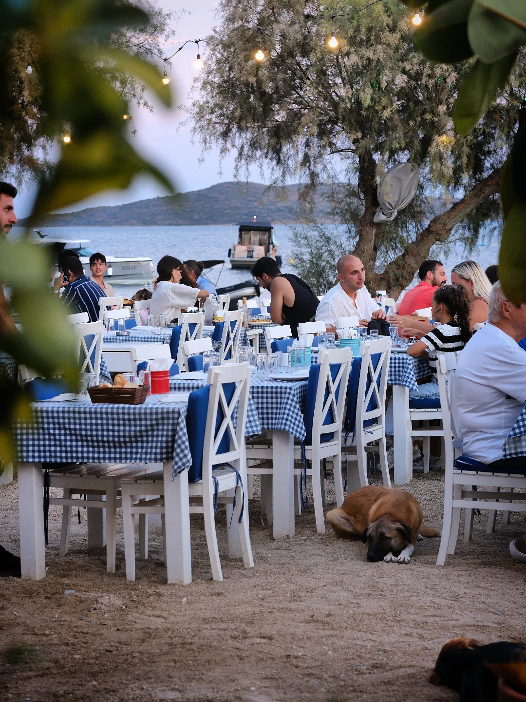 Yüzgeç Bodrum